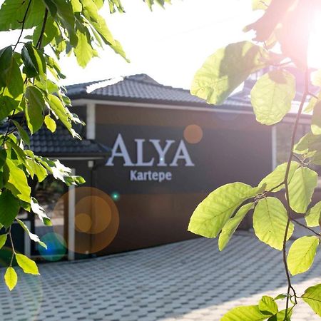 Alya Kartepe Villa Hotel コジャエリ エクステリア 写真